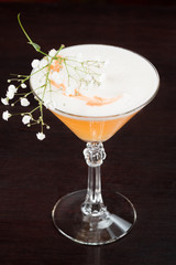 Alcohol cocktail collection