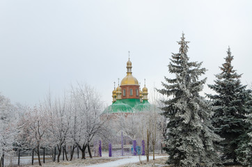 Obraz premium Golden domes behind the branches of trees in winter.