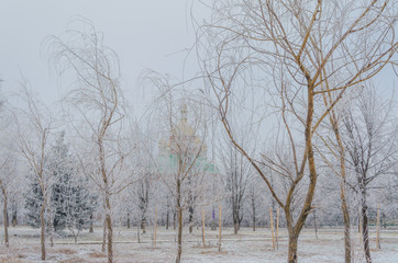 Golden domes behind the branches of trees in winter.