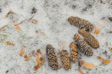 A long bump lying in the snow. Winter background.