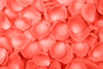 Background of rose petals in Living Coral color. Color of the year 2019. 