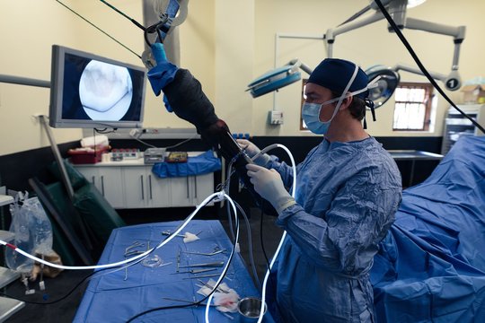 Surgeon operating a horse in operation theatre
