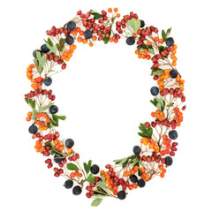 Autumn berry oval wreath with blackthorn, hawthorn and rowan berries on white background with copy space.