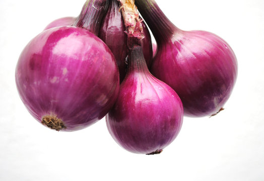 cebolla morada