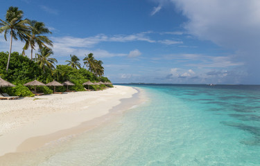 Strand mit Palme Atoll Insel Malediven