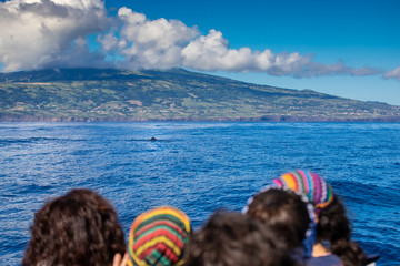 A group of tourists in a whale watching trip between the islands of Pico and Faial. They look for...