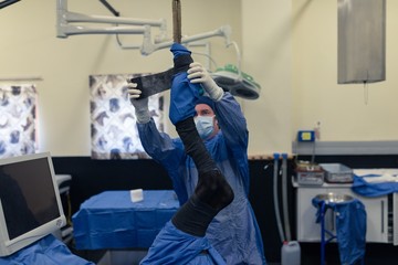 Surgeon applying bandage to horse in operation theatre
