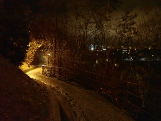 winter night in an illuminated park