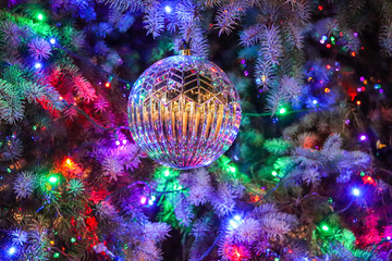 Obraz na płótnie Canvas Christmas tree close up background