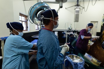 Surgeons operating a horse in operation theatre