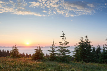 Obraz na płótnie Canvas Sunset in the mountains landscape. Dramatic sky. Carpathian of Ukraine Europe