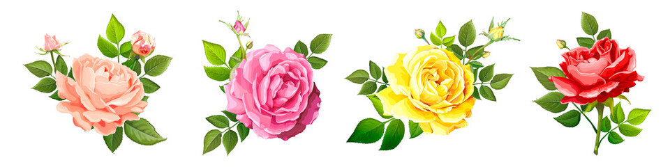 Lovely rose flower - obrazy, fototapety, plakaty