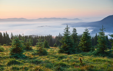 Travel, trekking. Summer landscape - mountains, green grass, trees and blue sky