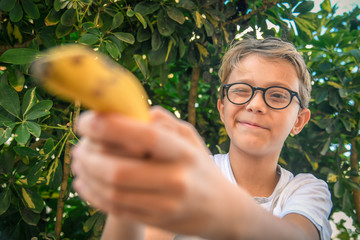 Funny image of blond child with eyeglasses playing at the cop armed with banana gun, with background of green plants. Play with colored fruit. Shoot as a joke, aim.