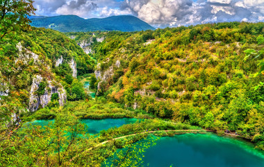 Fototapeta na wymiar View of the Plitvice Lakes National Park in Croatia