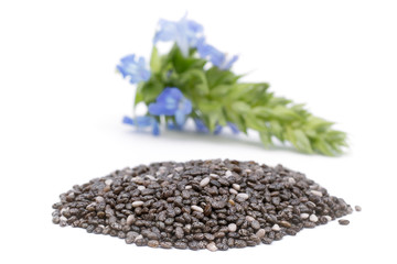 Chia (Salvia hispanica) Pile of seeds with flowers on white background