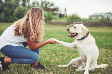 Attractive young woman with labrador outdoors. Woman on a green grass with dog labrador retriever