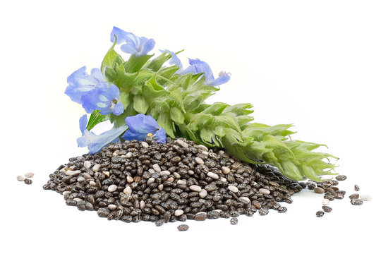 Chia (Salvia hispanica) Pile of seeds with flowers on white background