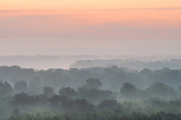 Mystical view from top on forest under haze at early morning. Eerie mist among layers from tree silhouettes in taiga under predawn sky. Morning atmospheric minimalistic landscape of majestic nature.