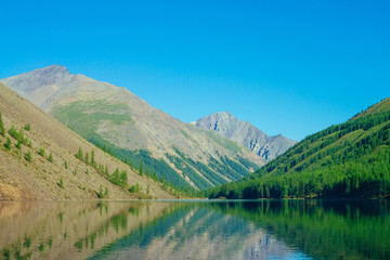 Fototapeta premium Giant mountains reflected in clean water of mountain lake in sunlight. Conifer forest on mountainside under blue sky in sunny day. Amazing vivid mountainous landscape of majestic nature of highlands.