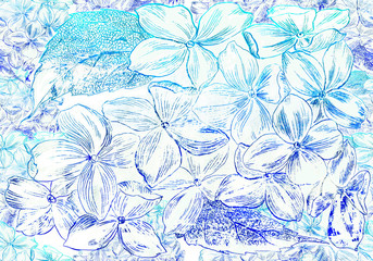 Flowers and leaves of hydrangea. Garden flowers. Bouquet of flowers. Decorative composition in the grettage technique. Seamless background. Use printed materials, signs, objects, websites, maps.