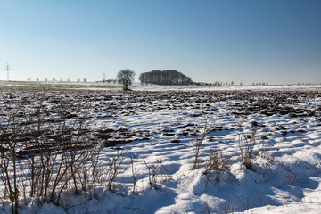Winter. Snow covered fields frosty winter morning