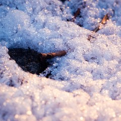 snow close up