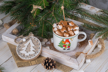 hot chocolate with marshmallows