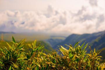 Sea of clouds taken in Tateyama, Toyama. Toyama is one of the important cities in Japan for cultures and business markets.