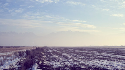 foggy field with snow covered with dry grass against the mountains in the fog
