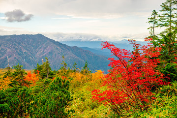 Obraz premium Mountain view of Tateyama in Toyama, Japan. Toyama is one of the important cities in Japan for cultures and business markets.