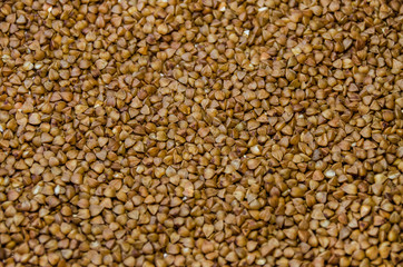 background of the buckwheat core