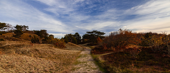 Braundünen auf Spiekeroog