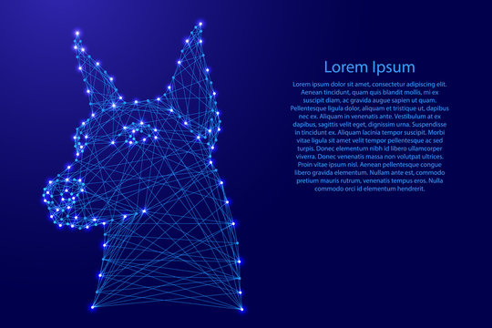 Doberman dog head from futuristic polygonal blue lines and glowing stars for banner, poster, greeting card. Vector illustration.