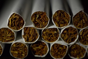 Close-up of cigarettes. Background or texture