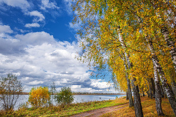 Fototapeta premium Autumn landscape on the river. Western Siberia, Novosibirsk region, Russia