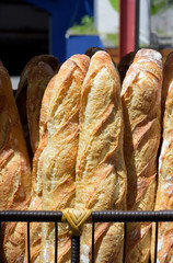 Fresh baguettes in basket