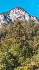 Fototapeta na wymiar Smartphone HD wallpaper of beautiful alpine view near Lofer - Tyrol - Austria