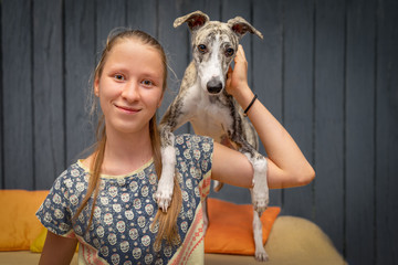 ein junges Mädchen kuschelt mit Ihrem Whippet Hund auf dem Sofa 