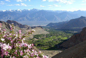 View of the Indus Valley and the Zanskar Range, Ladakh