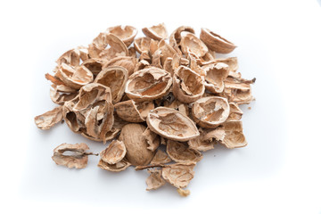 Pile of shells nutshells
