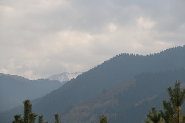 mountains in the fog
