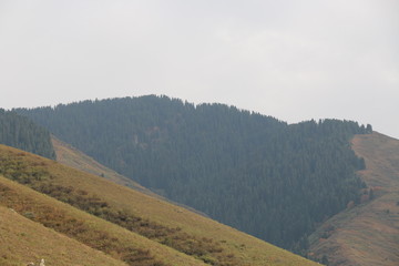 road in mountains