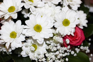 Fototapeta na wymiar Bouquet of daisies and roses