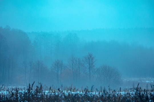 Foggy morning in the countryside in late autumn. Rural landscape in the early morning. Blue tinted © vvvita