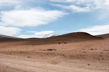 The Tolbo lake area in Mongolia