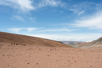 The Tolbo lake area in Mongolia