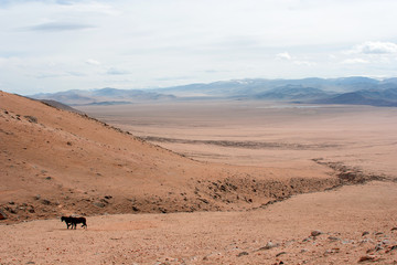 Fototapeta na wymiar Western Mongolia near Tolbo lake