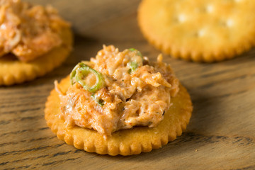 Homemade Spicy Cajun Salmon Dip