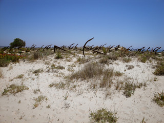 Anchor cemetery at the portugal beach which remember of the ships which never came back home